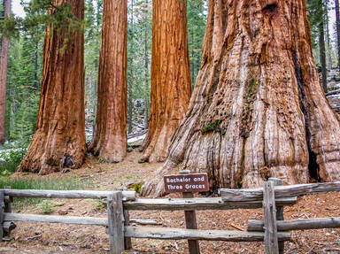 What to Do in Yosemite National Park