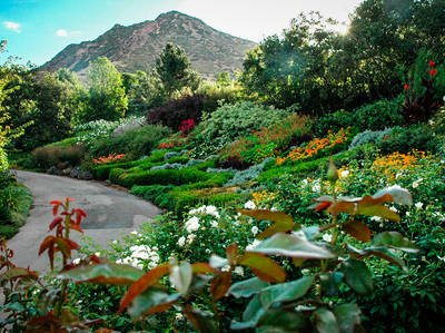 Courtesy of Red Butte Garden and Arboretum