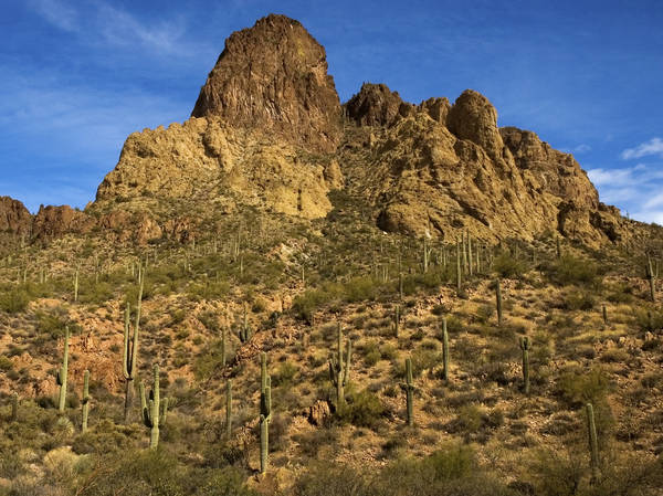 Aaa Travel Guides Phoenix Az