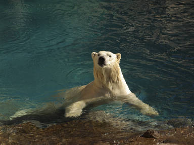 Gates Of The Arctic National Park And Preserve