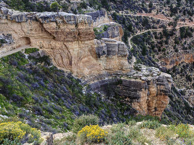 Grand Canyon National Park   North Rim