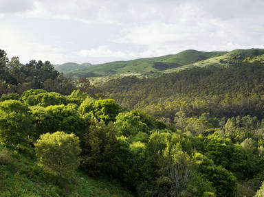 Berkeley