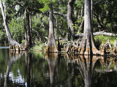 Everglades National Park