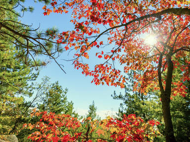 La Mauricie National Park