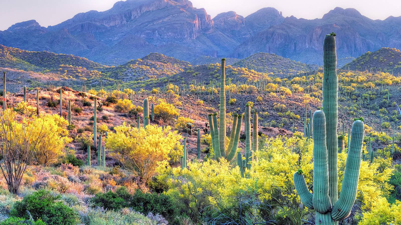 Hiking sonoran desert national monument sale