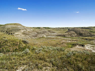 Grasslands National Park