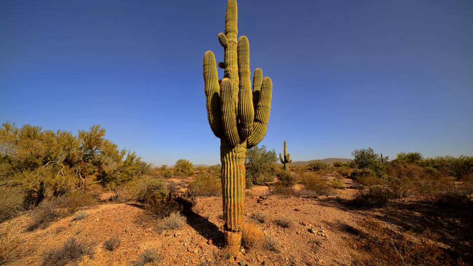 gsbarclay/iStockphoto.com