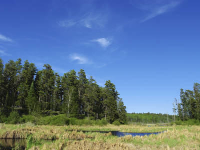 Whiteshell Provincial Park's Scenic Route 44