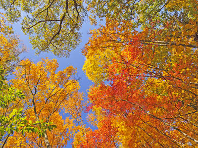 Indiana's Scenic Backcountry Route 135