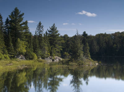 Algonquin Provincial Park Scenic Highway