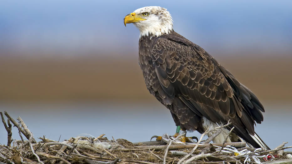 BrianEKushner/iStockphoto.com