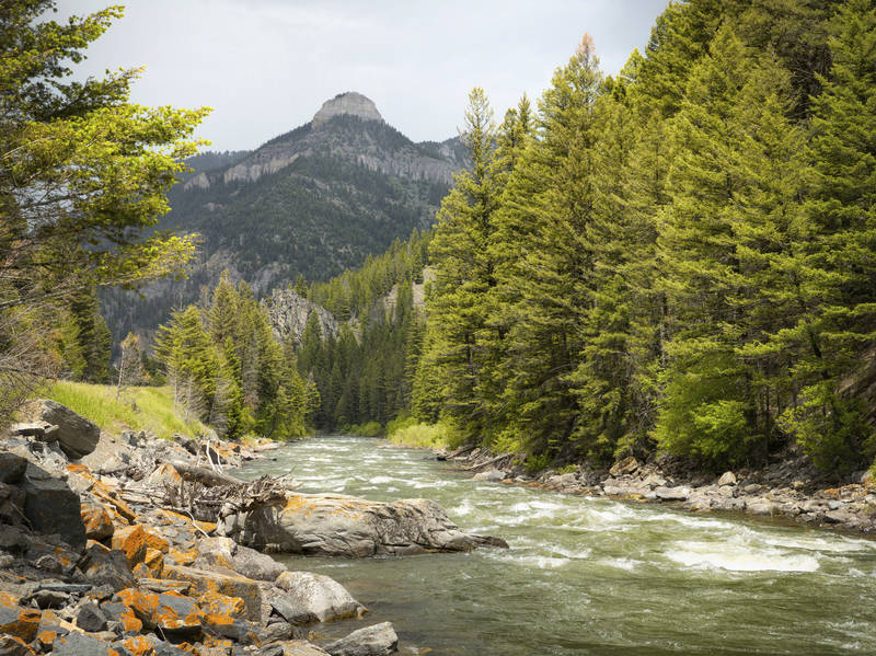 Gallatin Valley Scenic Highway Road Trip