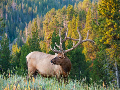 Star Valley to Yellowstone Scenic Highway