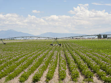 San Luis Valley Scenic Highway