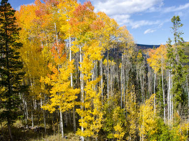 Huntington Canyon Scenic Byway