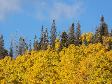 Brian Head-Panguitch Lake Scenic Byway