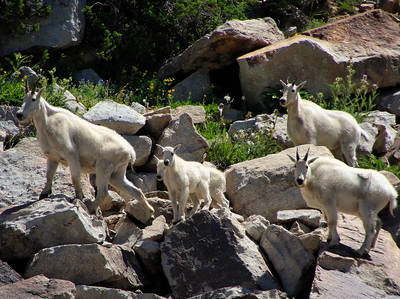 Little Cottonwood Canyon Scenic Byway