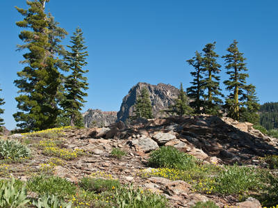 Yuba Donner Scenic Byway