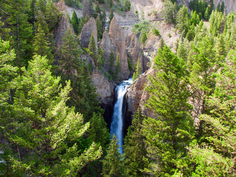 Yellowstone's Scenic Northeast Entrance Road Road Trip