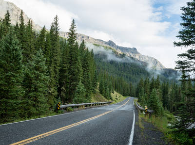 Yellowstone's Scenic Northeast Entrance Road