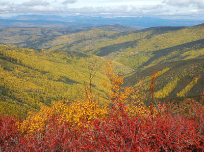 Dempster Scenic Highway