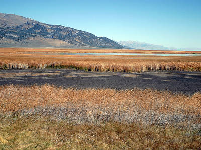 Ruby Lake National Wildlife Refuge Scenic Drive