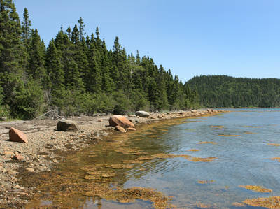 Newfoundland and Labrador's Scenic Trans Canada Hwy 1