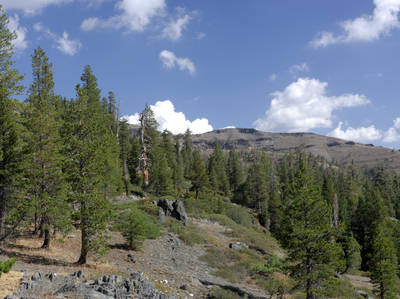 Monitor Pass Scenic Highway