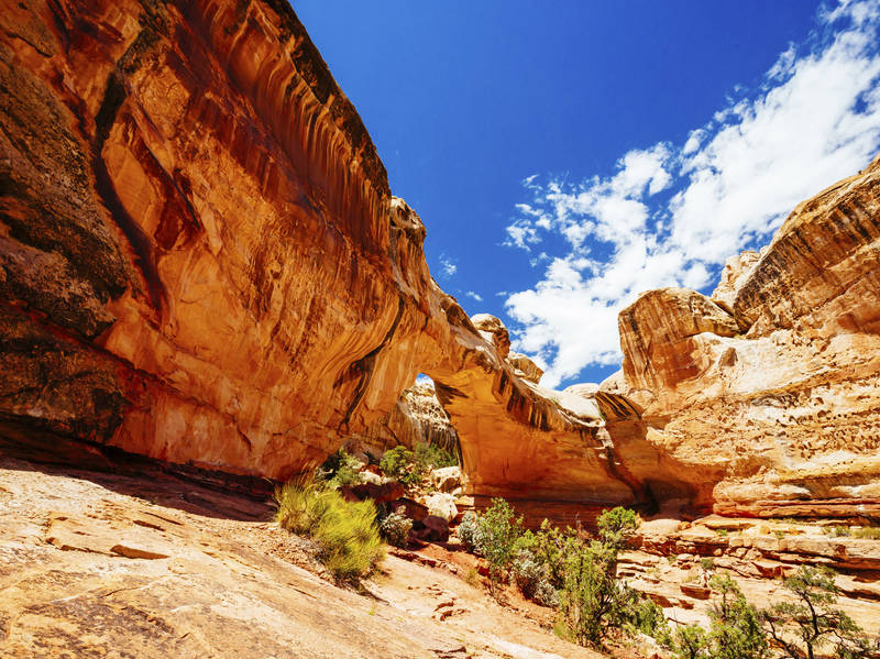 Capitol Reef National Park Scenic Drive Road Trip