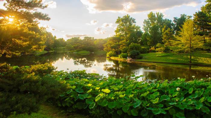 Missouri Botanical Garden/Josh Nezam