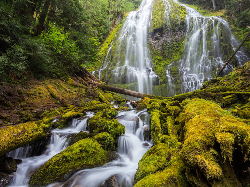 McKenzie-Santiam Pass Scenic Loop, Route 242 Road Trip