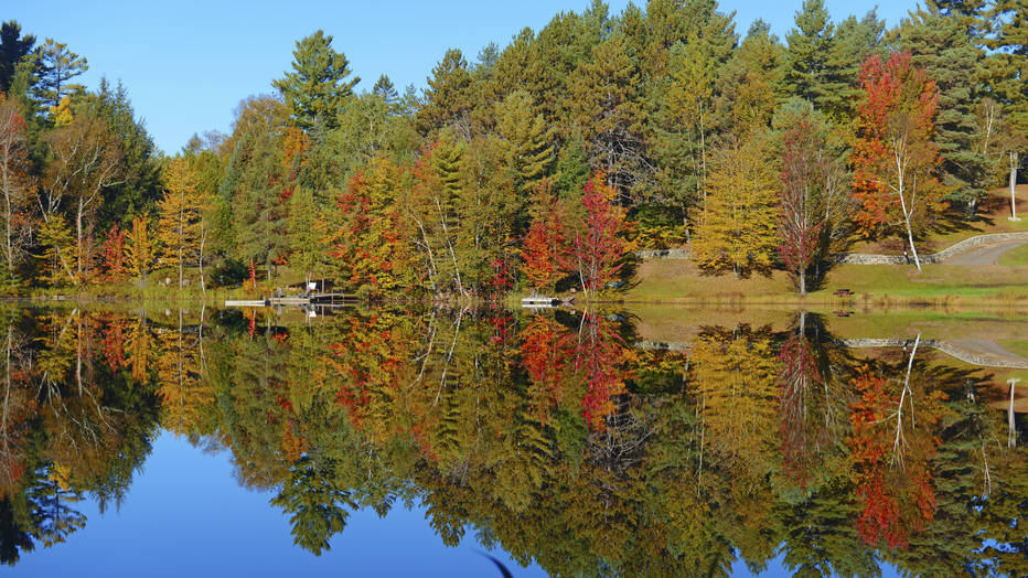 iStockphoto.com / robertcicchetti