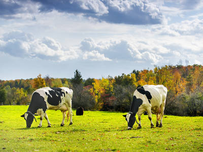 Ontario's Scenic Route 89