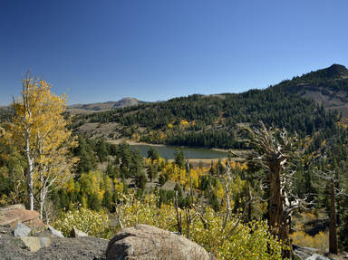 Carson Pass Scenic Highway