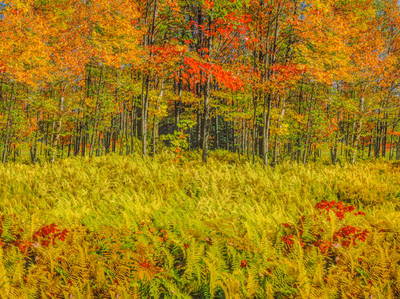 Green Mountains Scenic Route 7