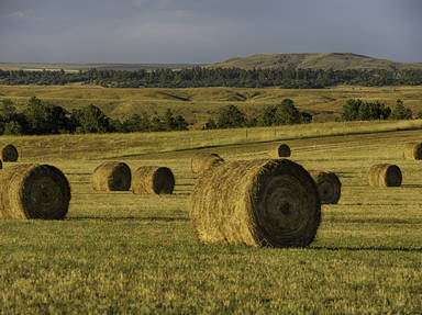 Wyoming's Scenic Route 352