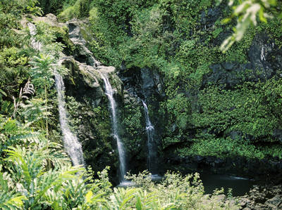 Halawa Valley Scenic Road