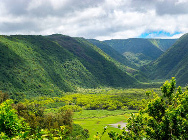 Kohala Mountain Scenic Road