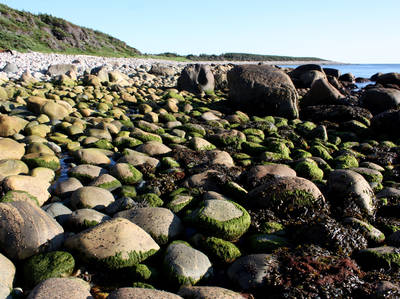 Burgeo Scenic Highway