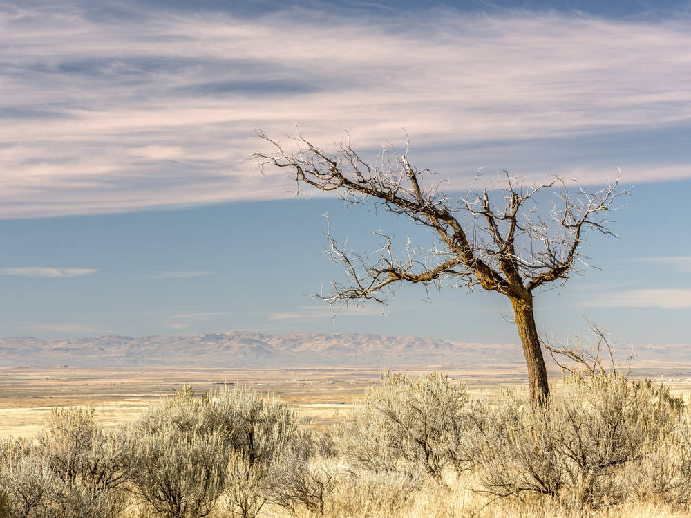 Idaho's Southern Veterans Memorial Scenic Highway