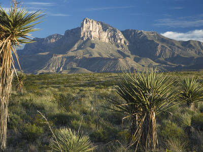 Guadalupe Mountains Scenic Drive