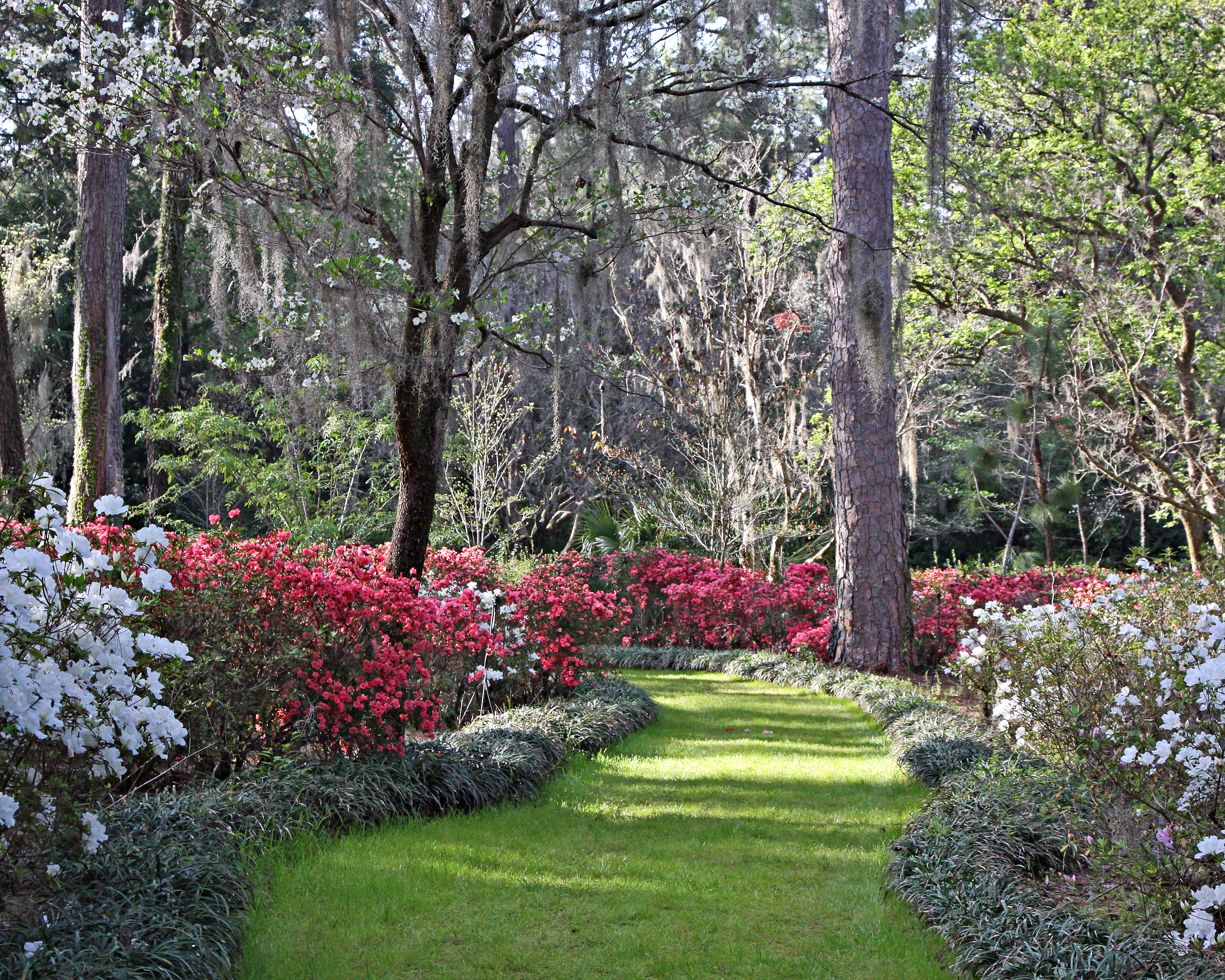 Alfred B. Maclay Gardens State Park - Tallahassee FL | AAA.com