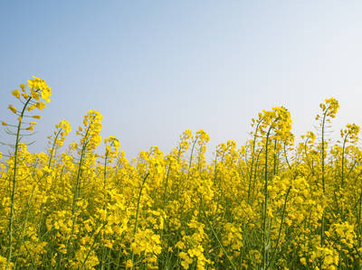 Saskatchewan's Scenic Yellowhead Highway