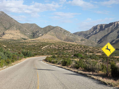 McKittrick Canyon Scenic Road