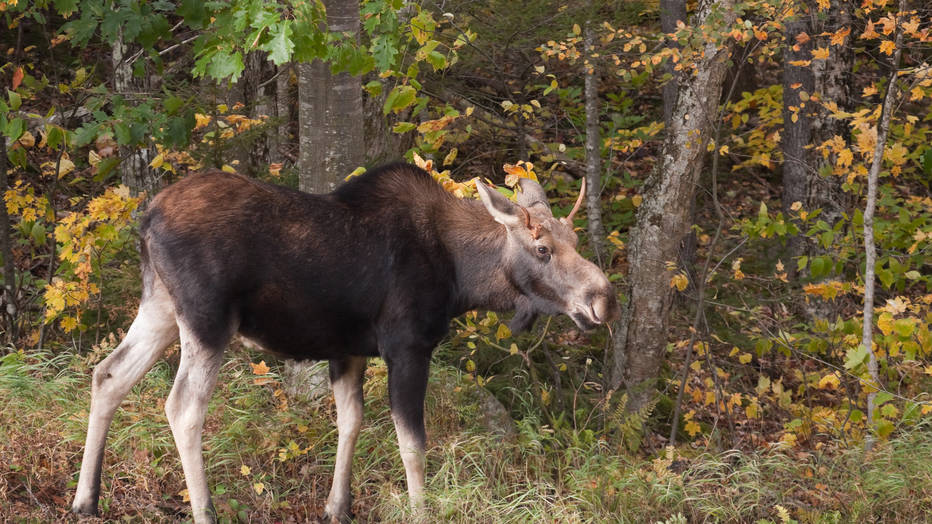 DeniseBush/iStockphoto.com