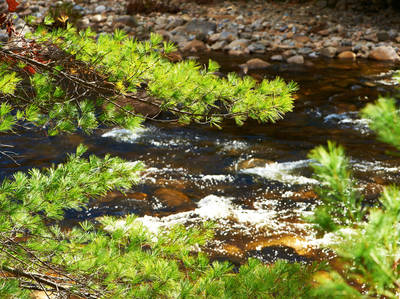 Kinsman Notch Scenic Route