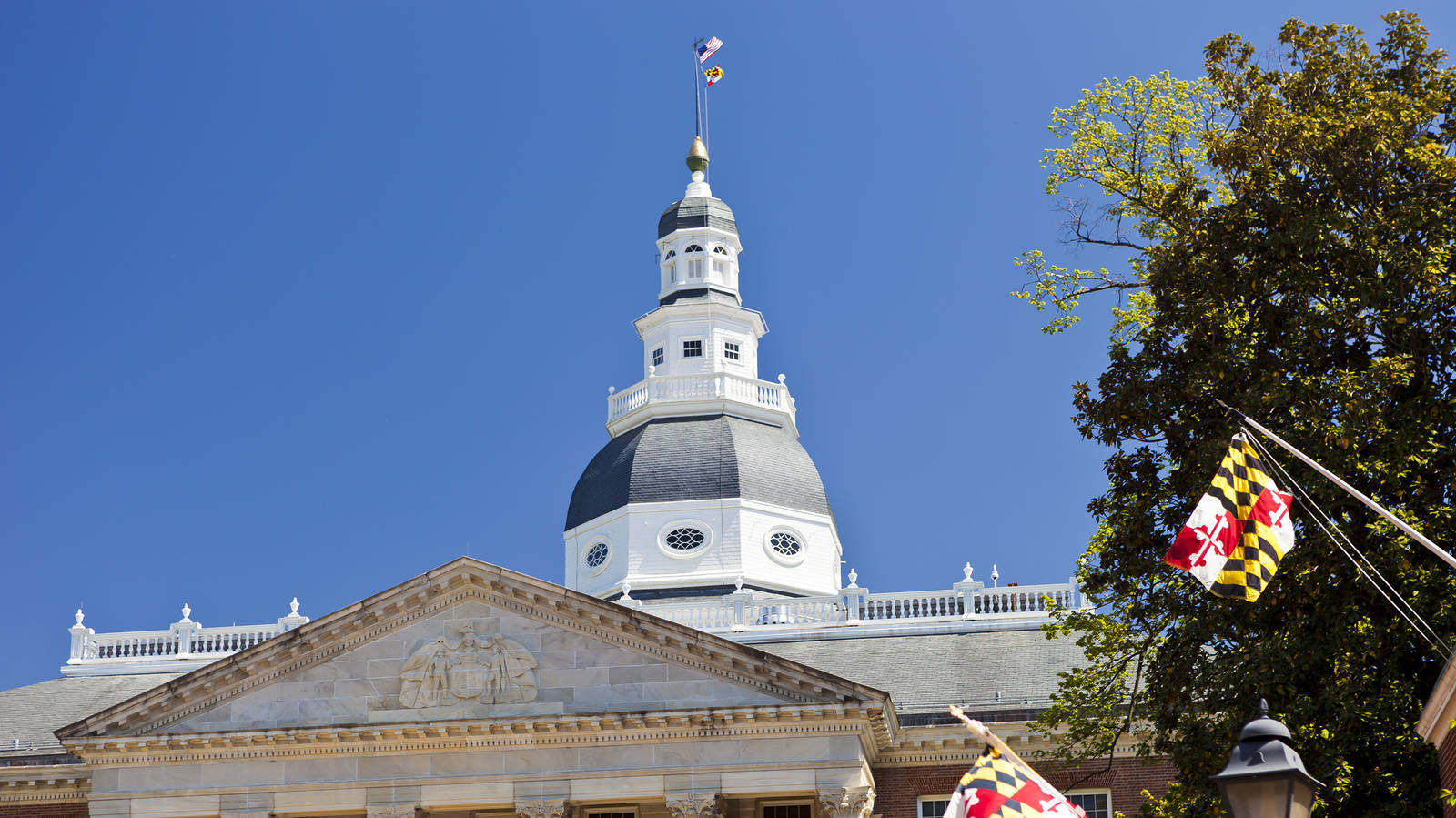 Maryland State House in Annapolis, MD - Trip Canvas