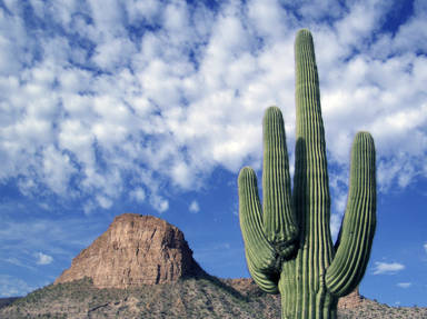 Apache Trail Historic Scenic Byway