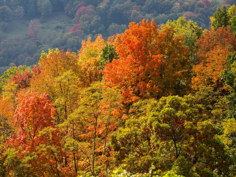 West Virginia Scenic Turnpike Road Trip