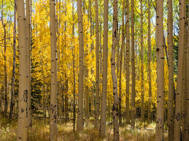 Frontier Pathways Scenic Route 165